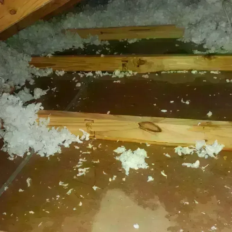 Attic Water Damage in Byng, OK