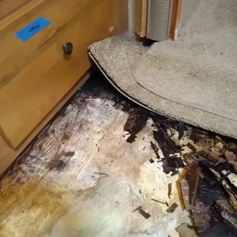 Wood Floor Water Damage in Byng, OK